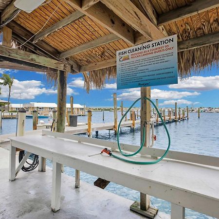 St Kitts - Downtown Waterfront Penthouse Pool Dock Parking Villa Key West Eksteriør bilde